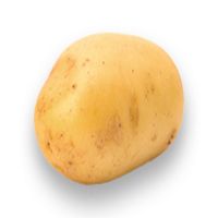 Wholesale Mesh Bag / Carton New fresh potato New Crop Potato, fresh cheap potato, Exporting Fresh Potato 2019 new fresh holland