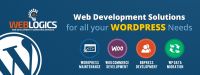 WordPress Development - Web-Logics