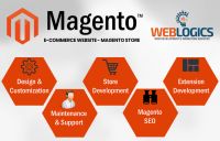 Web Development Services â Web-Logics