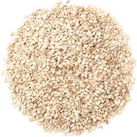 SESAME SEED AVAILABLE FOR EXPORT