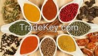 Best Quality Of Rajasthan Spices Masala