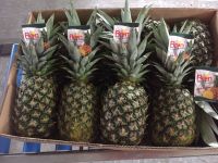Philippines Golden MD2 Fresh Pineapple Grade AAA