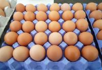 White And Brown Fresh Eggs