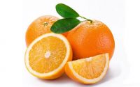 Fresh Citrus Fruits | Valencia Oranges | Lemons | Delicious Apple | Cavendish Banana