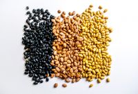 Fresh Canadian Lentils, Peas And Pulses