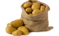 Fresh Potatoes, Sweet Potato For Sale..
