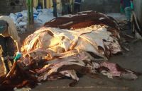 SALTED CATTLE HIDES