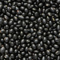 Black Beans Or Michgun Beans