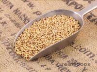 High Quality Groats Oat