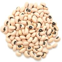 Black Eye (Vigna Beans) - Black Eyed Beans