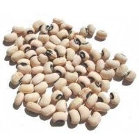 Black Eyed Beans / Black Beans For Sale