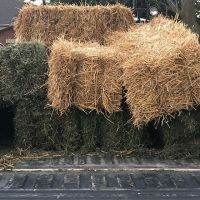 high quality alfalfa hay, alfalfa hay price, alfalfa hay bales