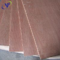 commercial plywood bintangor BBCC