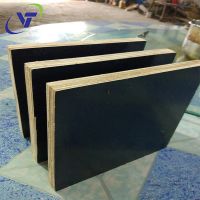 Black Film Faced Plywood