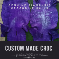 Genuine Alligator/Crocodile Leather Skins, Raw Crocodile Leather. Siamensis Crocodile Leathers Wholesale Factory Thailand