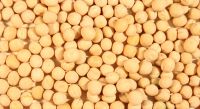 Yellow Peas! Best price! Worldwide delivery!