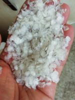 DRIED FISH SCALES