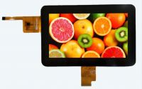 7 inch lcd display 800*480/1024*600/720*1280 IPS viewing with touch panel