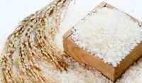 Hot Seller-Delicious rice specialties