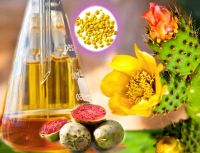 prickly pear oil