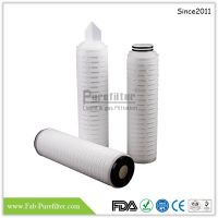 PES Membrane Pleated Filter Cartridge