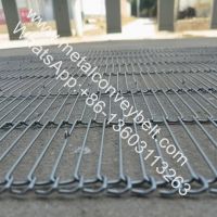 Stainless Steel Mesh AISI 310S Metal Flat Flex Wire Conveyor Belt