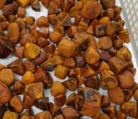 Cow Gallstones