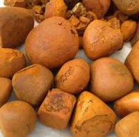 10-25g free sample Supply High Quality Natural Cow Gallstones