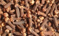 Quality Whole Madagascar Cloves