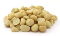 Macadamia Nuts Style 1 Bulk for export