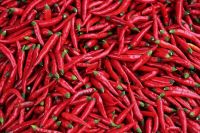 Fresh/Dried Chili/Red Pepper at affordable prices