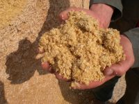 Corn gluten meal animal feed for cattle, pig , chicken corn gluten meal 60%