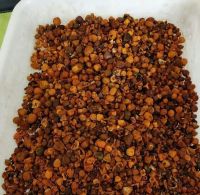 Best selling great quality cow,cattle ox gallstones wholesale price