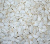Pumpkin Seeds