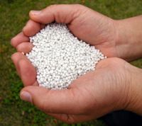 Wholesale Sell Urea (Origin: European)