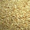 Wholesale sell sesame seeds