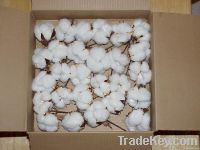 Wholesale Grade A Raw Cotton For Sale