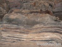 Wholesale wet and dry salted cow hides