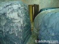 Wholesale wet blue cattle hides