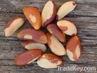 Wholesale Brazil Nuts