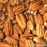 Wholesale PECAN NUTS