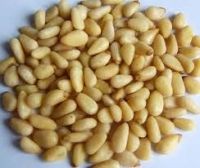 Wholesale Pine Nuts