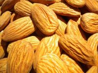 Wholesale Almonds (Almond Nuts)