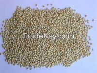 Wholesale High  quality  FRENCH FRIES UNIT MILLET 