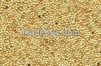 Wholesale High   quality yellow broom corn millet/grain