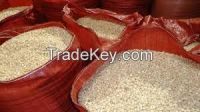 Wholesale High  quality  White Maize