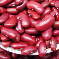 Wholesale 100% Speckled Kidney Beans | Red Beans