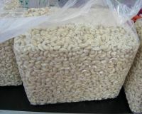 raw cashew price in africa