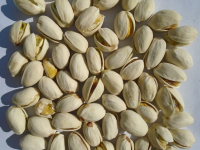 Wholesale Wholesale Pistachio Nuts / Pistachios Kernel for Sale