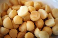 Wholesale Premium Macadamia Nuts And Brazil Nuts